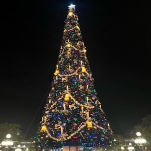 Meet your Posher, Martha